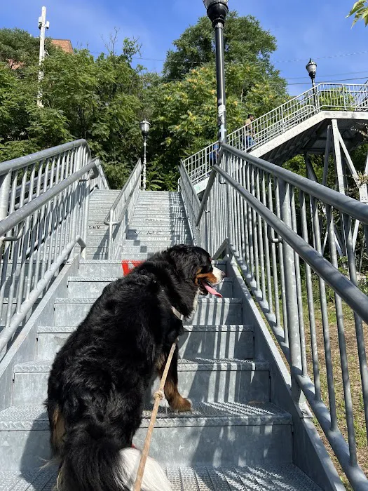 100 Steps Picture 9