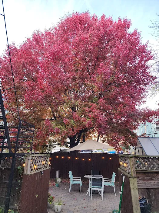 Magnolia Guest House Picture 3