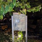The Healing Garden