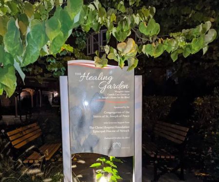 The Healing Garden