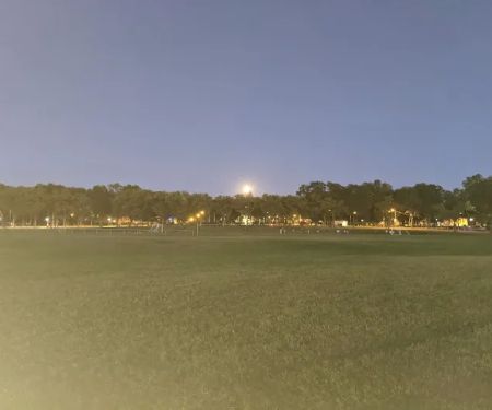 Lincoln Park Picnic Area