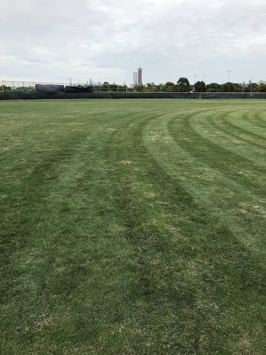 Lincoln Park Dog Run Picture 8