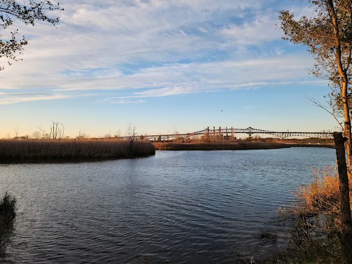 Lincoln Park West Wetlands & Nature Trail Picture 8