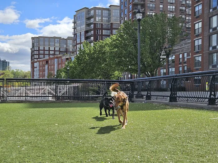 Shipyard Park Dog Park Picture 9
