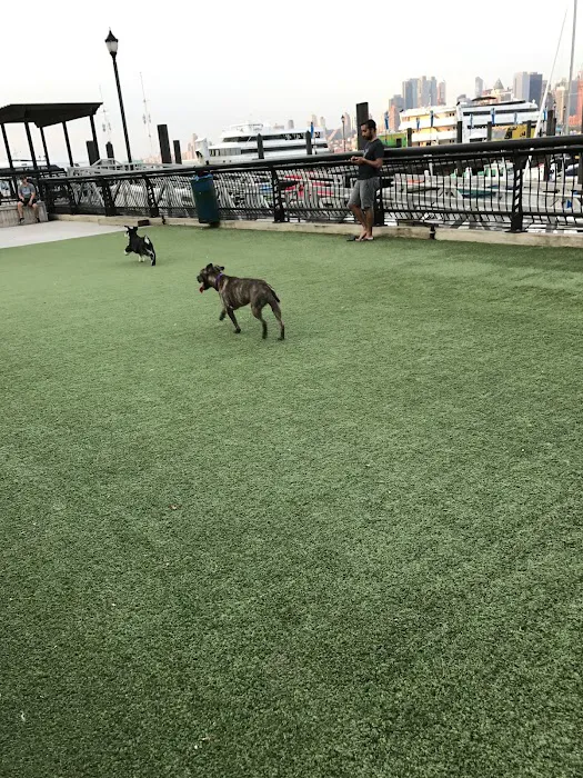 Shipyard Park Dog Park Picture 7