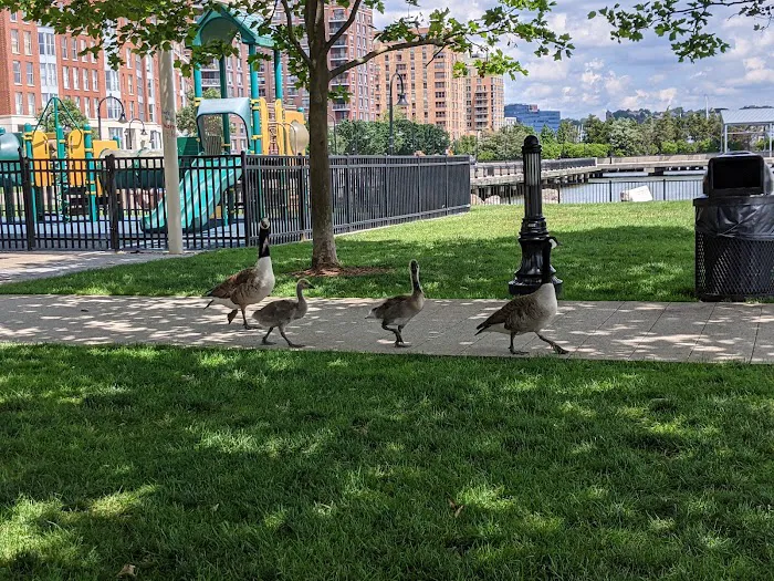 Maxwell Place Park Picture 9