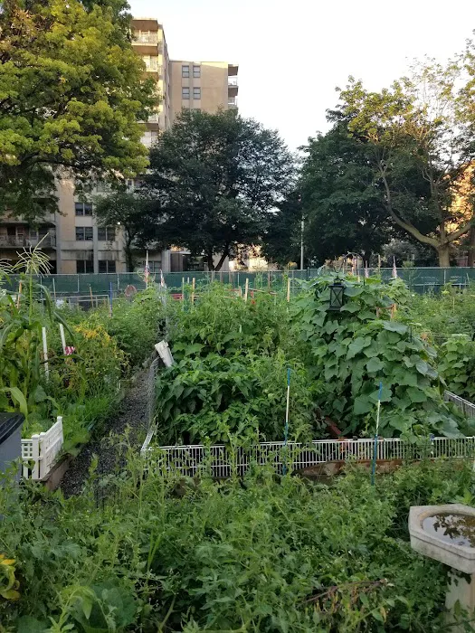 Marjorie J. Laue Community Garden Picture 3
