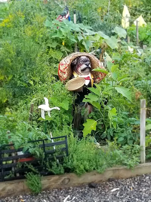 Marjorie J. Laue Community Garden Picture 5
