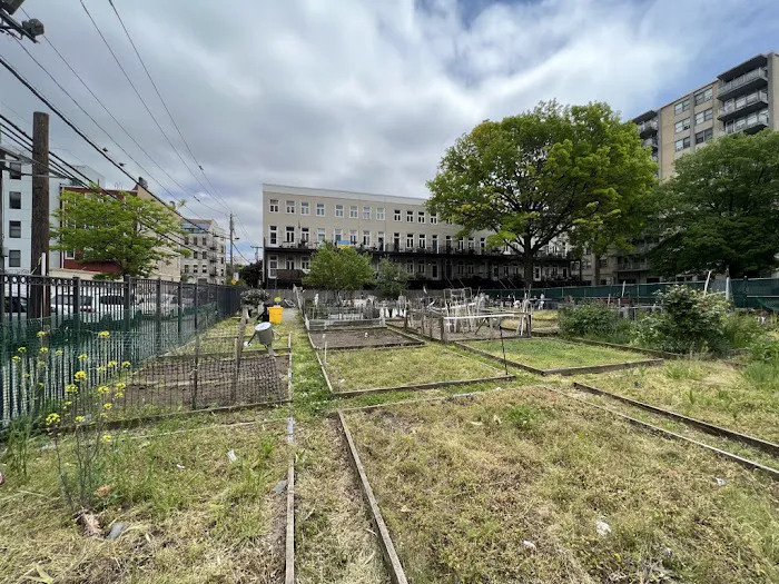 Marjorie J. Laue Community Garden Picture 8