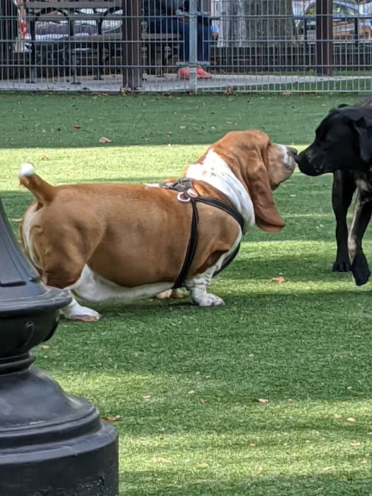 Church Square Park Dog Park Picture 10
