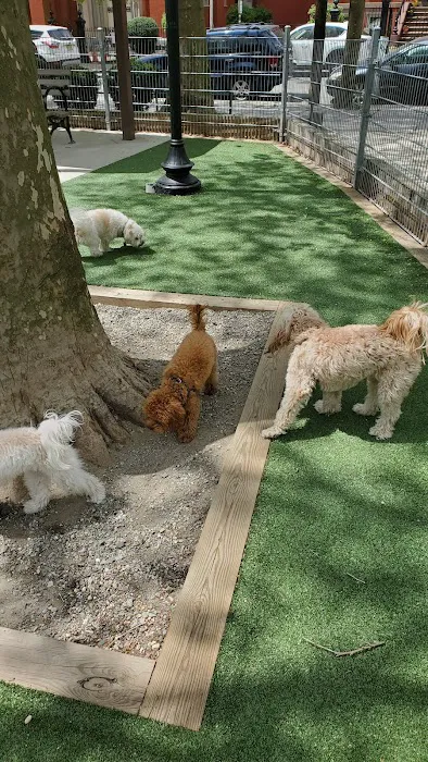 Church Square Park Dog Park Picture 2