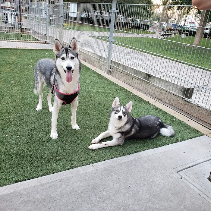 Church Square Park Dog Park Picture 3