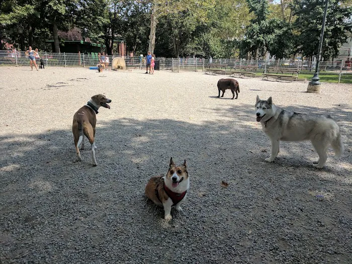 Church Square Park Dog Park Picture 8