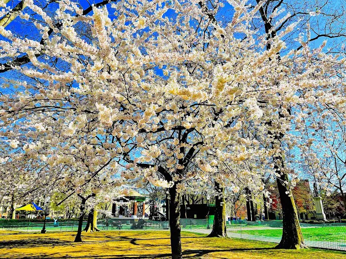 Church Square Park Picture 3