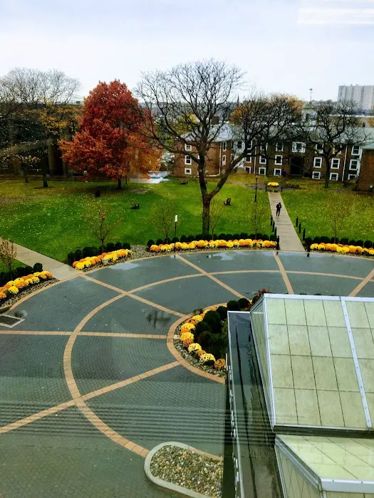 Palmer Lawn Picture 1