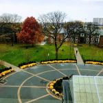 Palmer Lawn