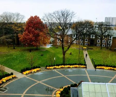 Palmer Lawn