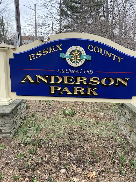 Anderson Park Picture 8