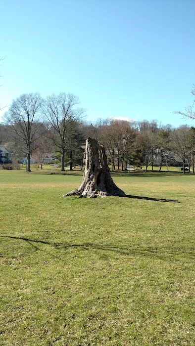 Anderson Park Picture 3