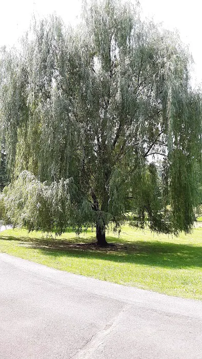 Anderson Park Picture 5
