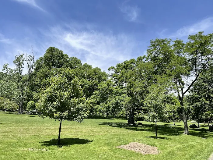 Anderson Park Picture 2
