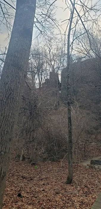 Bird Sanctuary Picture 9