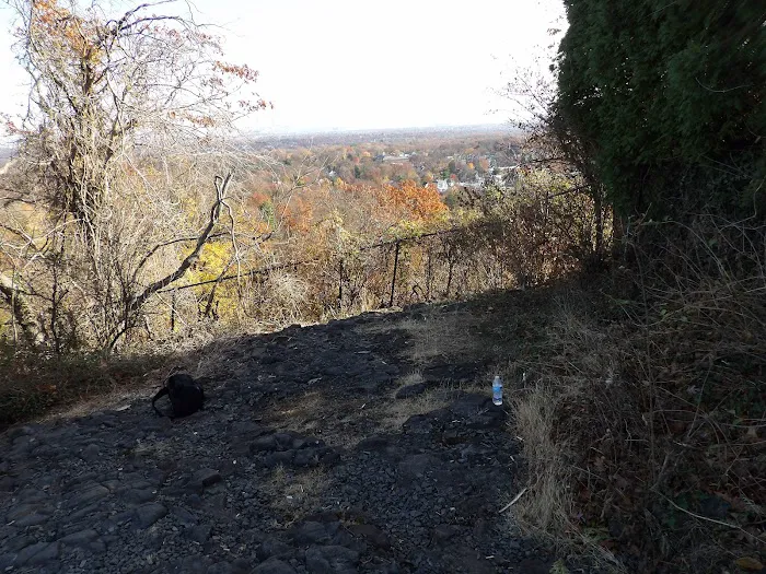 Bird Sanctuary Picture 2