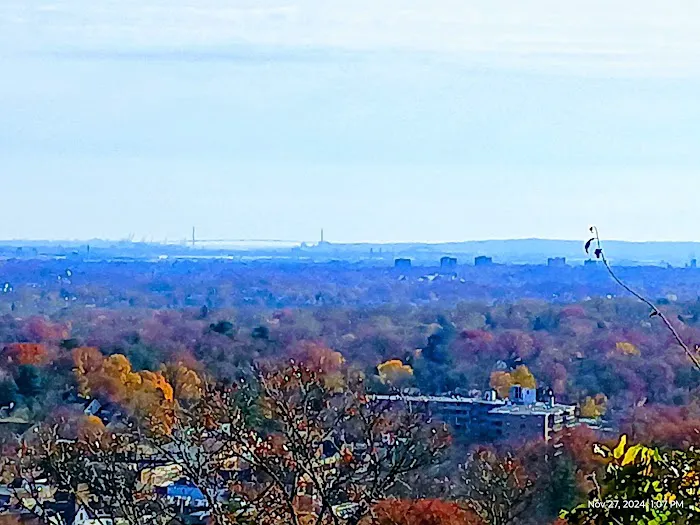 Bird Sanctuary Picture 5