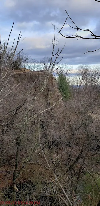 Montclair Hawkwatch Picture 8
