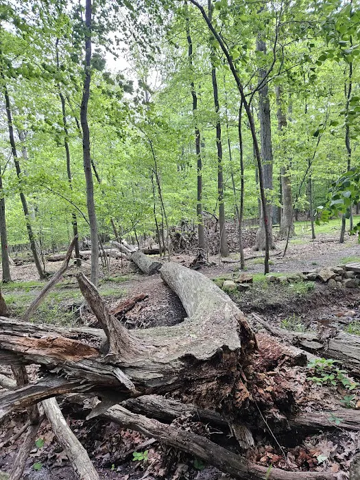 Mills Reservation Lenape trail parking Picture 4