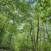 Mills Reservation Lenape trail parking ico