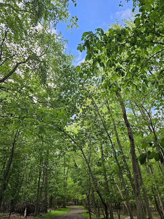 Mills Reservation Lenape trail parking Picture 3