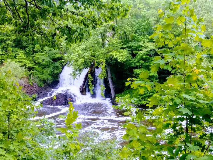 Peckman Preserve Picture 10