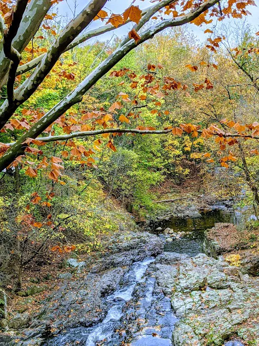 Peckman Preserve Picture 7