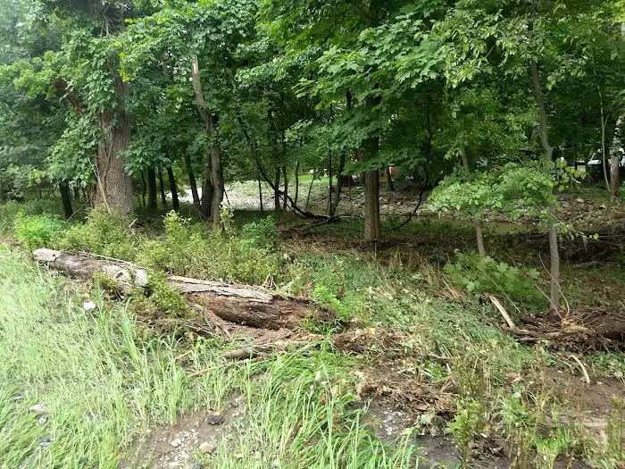 Peckman Preserve Picture 6