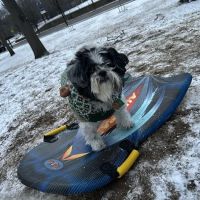 Essex Park ico