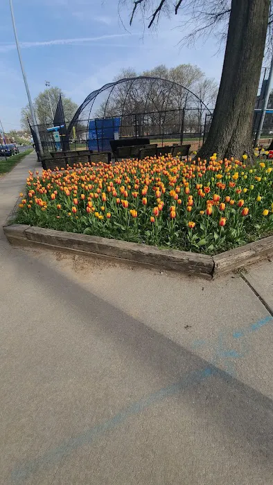 Kaveny Field Picture 1