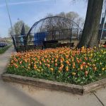Kaveny Field