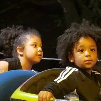 Erie Park ico
