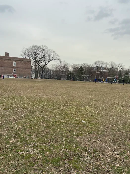 Rand Park Picture 8