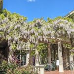 Van Vleck House & Gardens