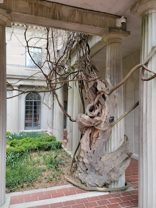Van Vleck House & Gardens Picture 7