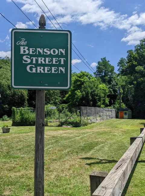 The Benson Street Garden Picture 1
