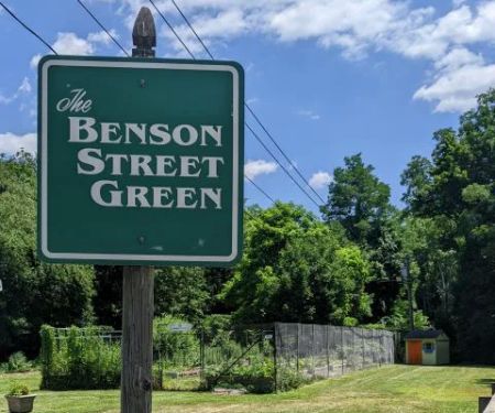 The Benson Street Garden