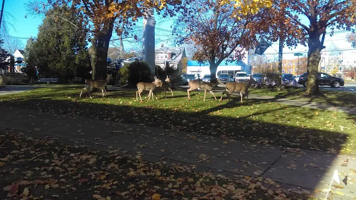 Wilmore Park Picture 4