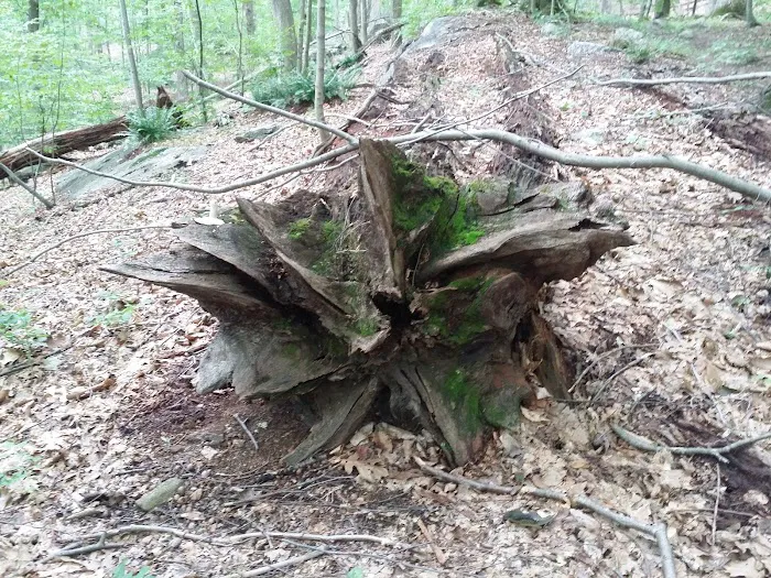 Montville Township Picture 5