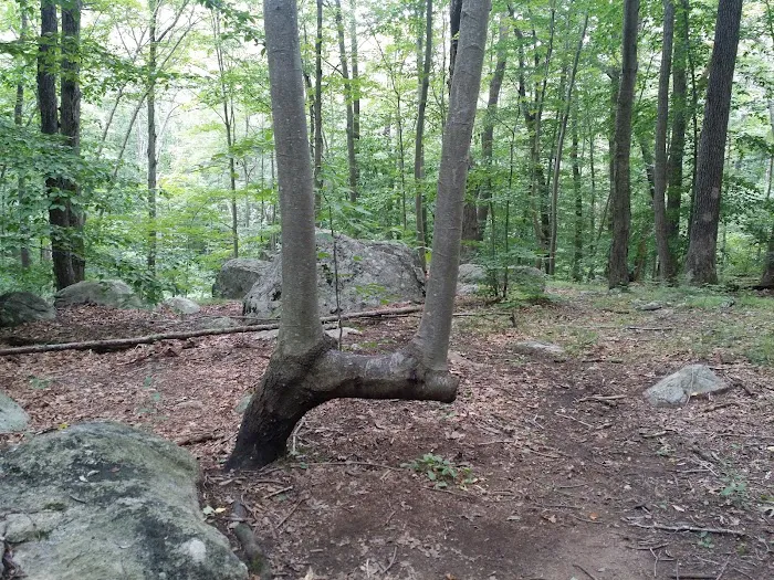 Montville Township Picture 4