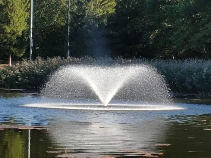 Masar Park Picture 6