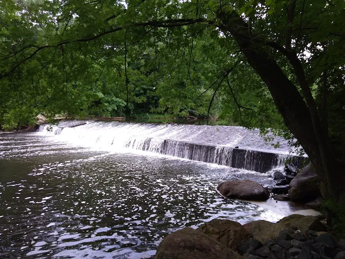Griffith Park / Cwr Picture 6