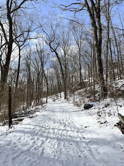 Tourne County Park, Boonton Access Picture 5